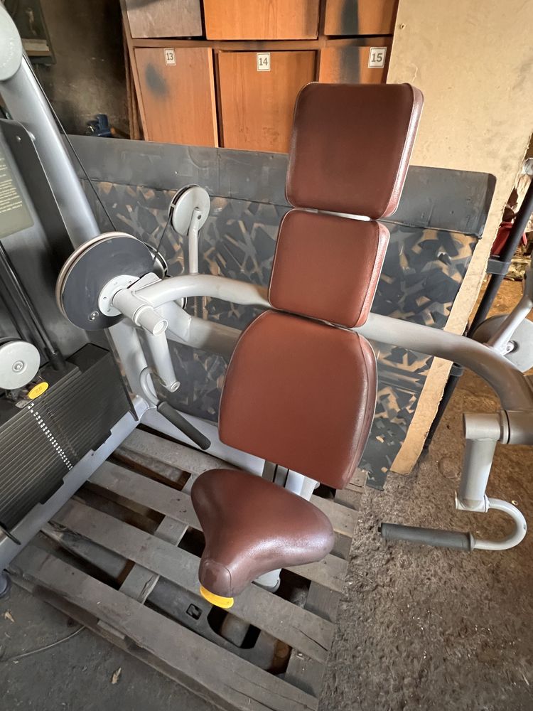 Aparat biceps technogym fitness