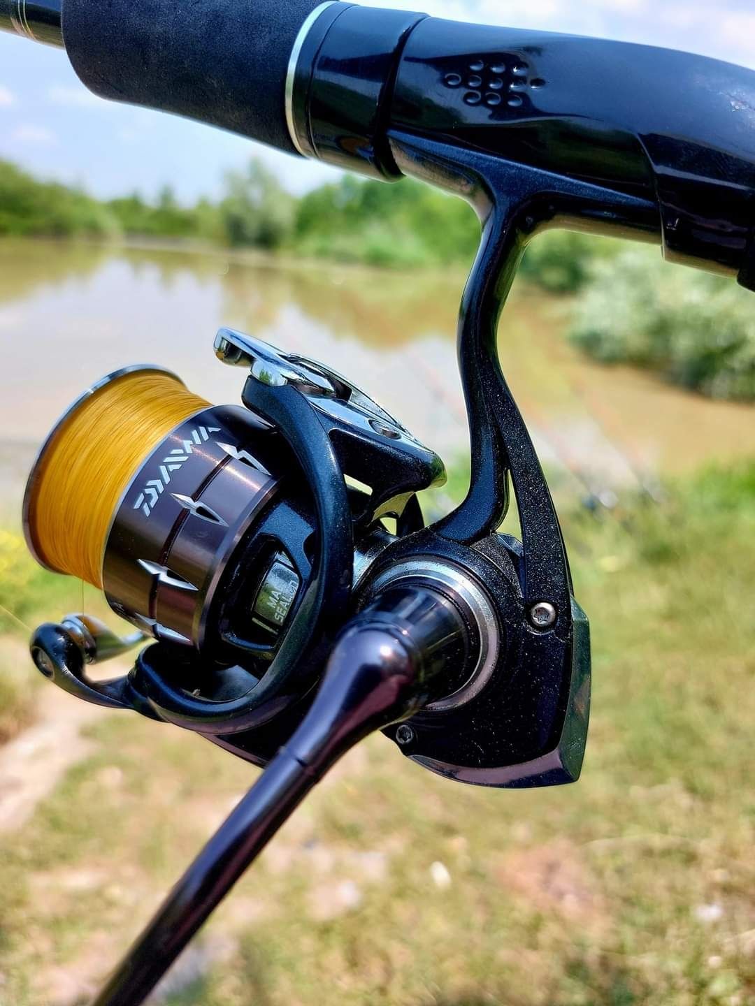 Combo  Daiwa spinning