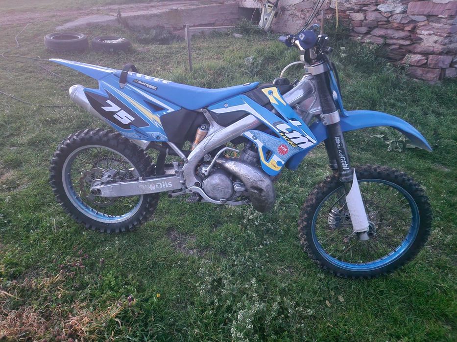 2008 TM En 250 F