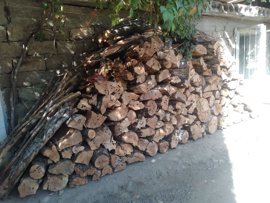 O'tin sotiladi quruq tanasi tol