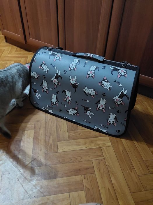 Срочно продам кошку