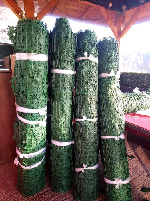 Role Gard Iedera 2x10 Metri 2x7 Metri