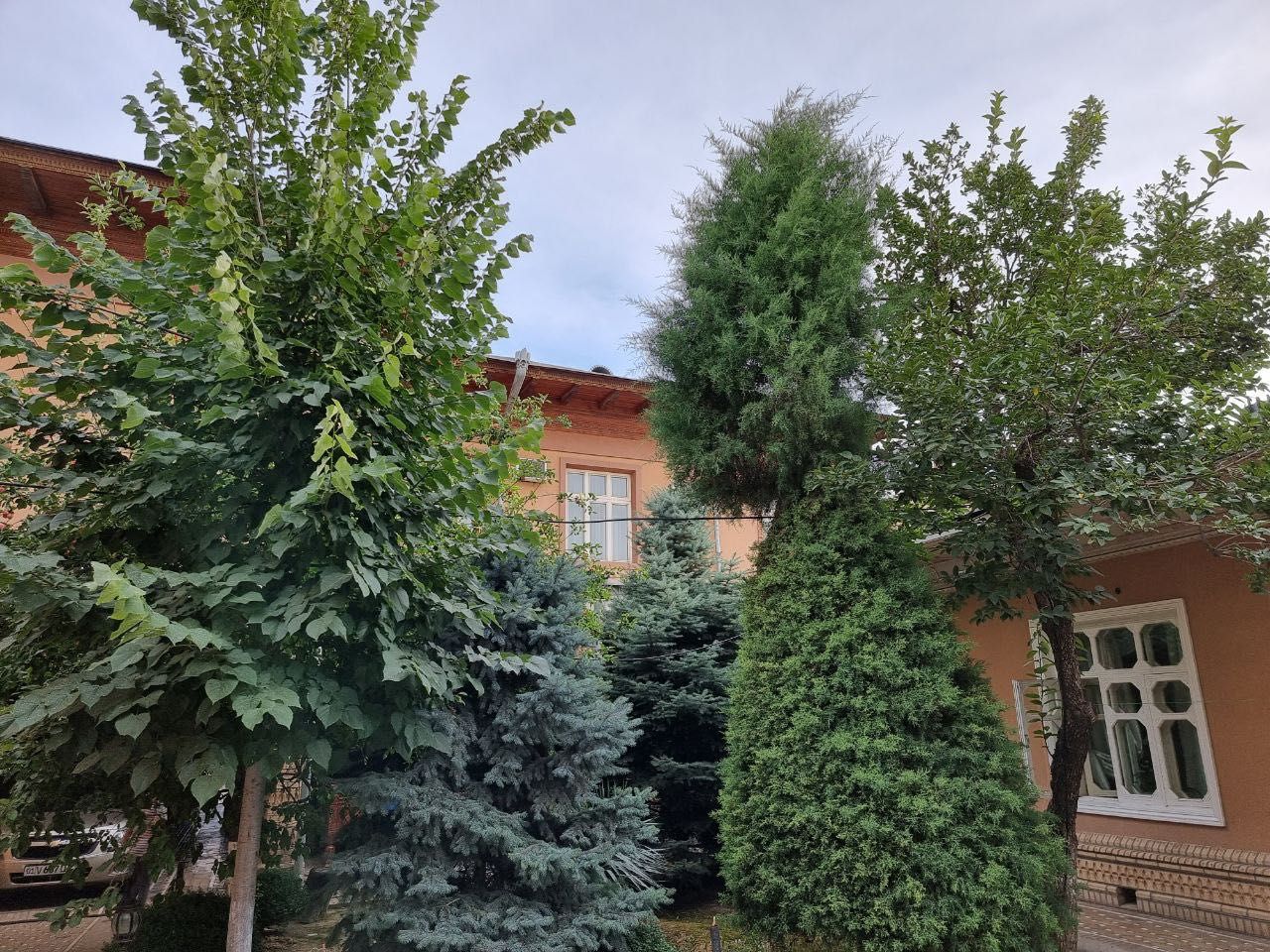 Узимни ховлимни сотаман 8,5 сотих, Богча, Хостел ёки Общежитга зур жой