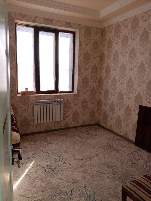 Студент боллага квартира