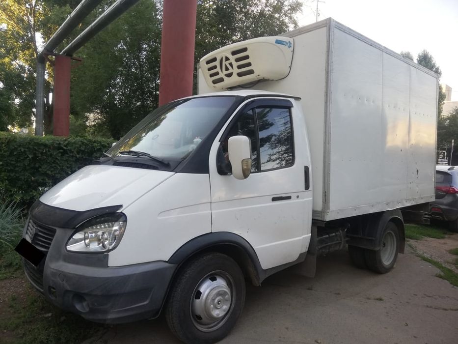 Газель термабудка