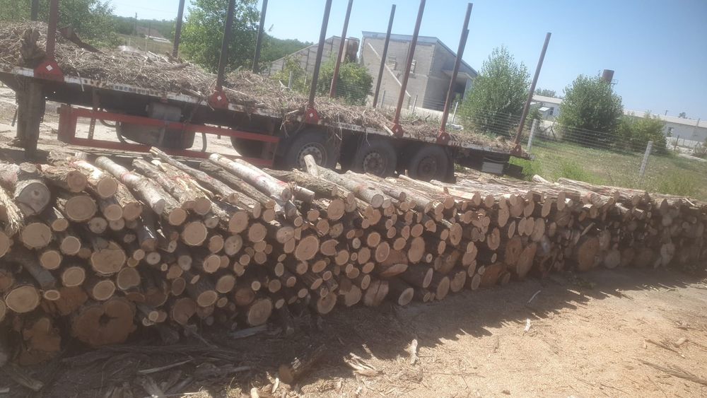 Lemne pentru foc