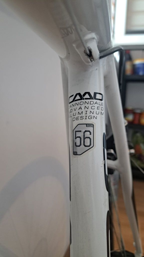 Cursiera Cannondale CAAD8