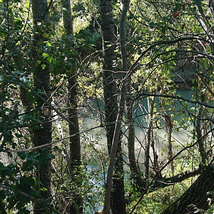 Teren vanzare Ciolpani / Luparie