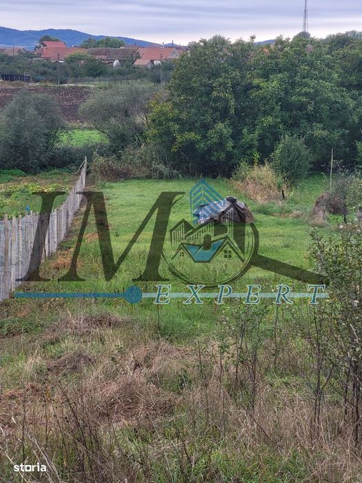 Teren Intravilan De Vanzare In Cut