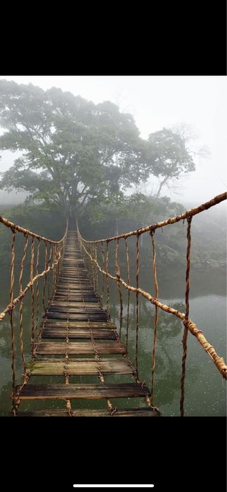 Tablou Ikea pod varianta mare