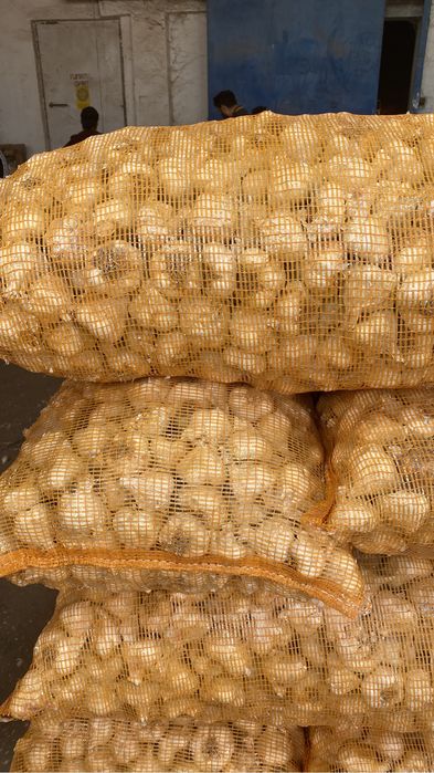 Vand usturoi national