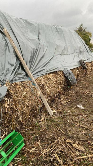 Vând balotii cocenii și paie