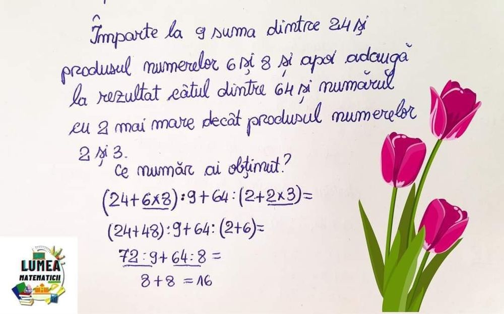 Meditatii ( cursuri ), ajutor la teme,  clasele 0-8, in Chiajna-Milita