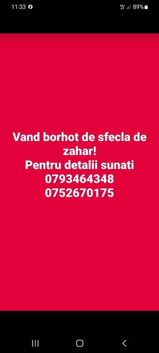 Borhot de Sfecla de Zahar