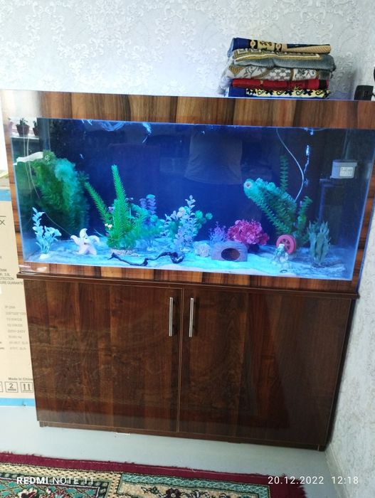 Akvariyum sotiladi kamplekt dekaratya hamma narsasi tayyor