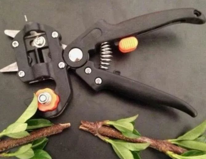 Aparat Cleste de legat via rosiile / Cleste de altoit / Banda Capse