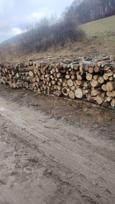 Vand lemne de foc carpen