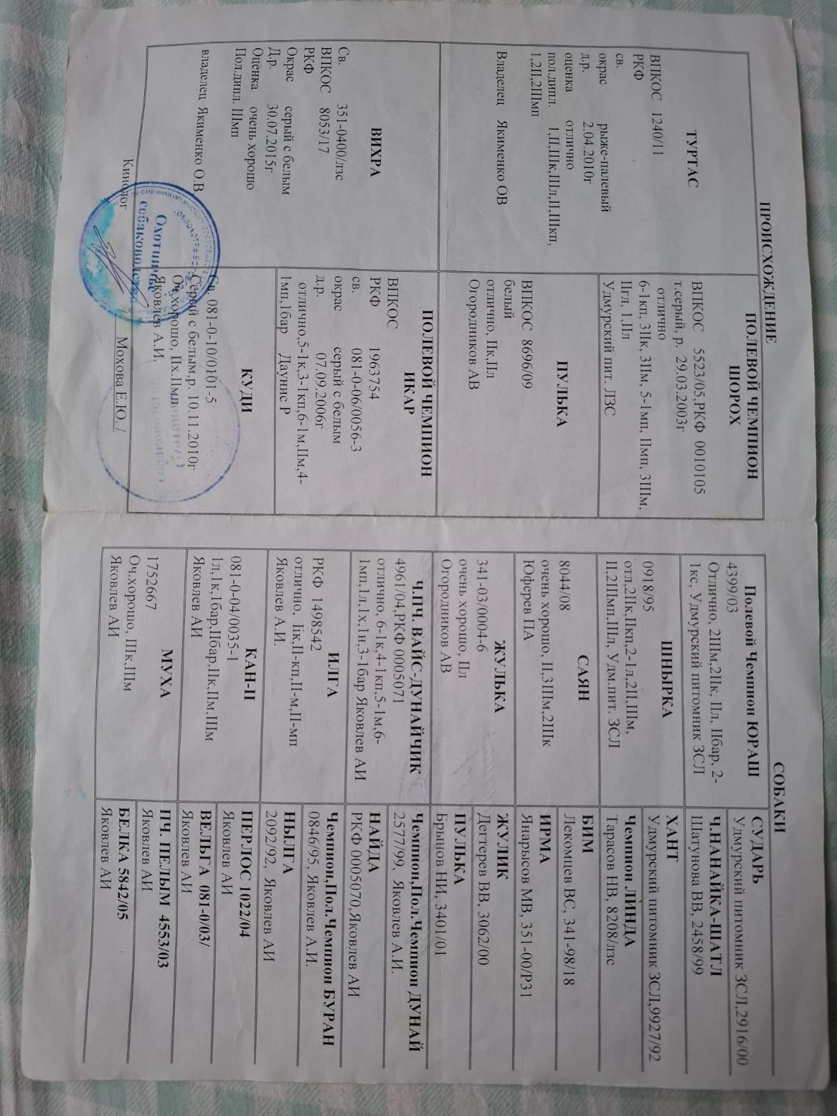Бронь щенков ЗСЛ!!!