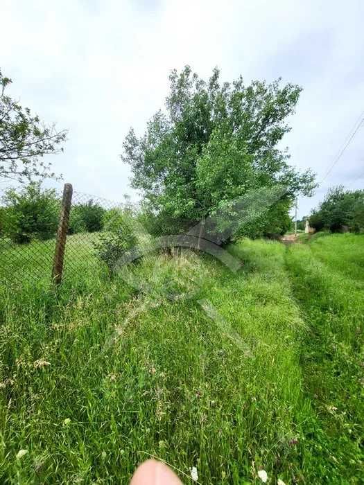 Парцел с. Върбен 65264