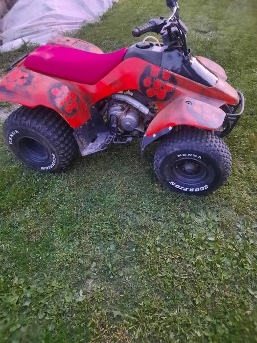 Suzuki quadrunner