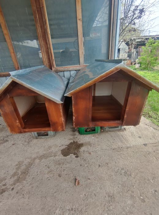 Cușcă izolată  ; câini  mari și mici