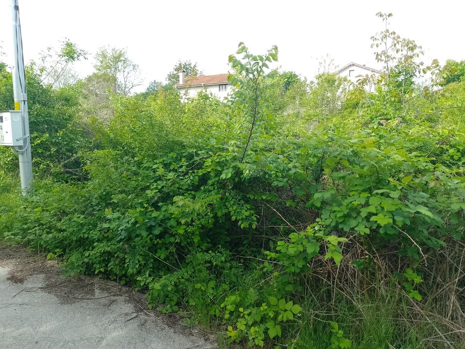 Почистване и ограждане на запустели имоти.