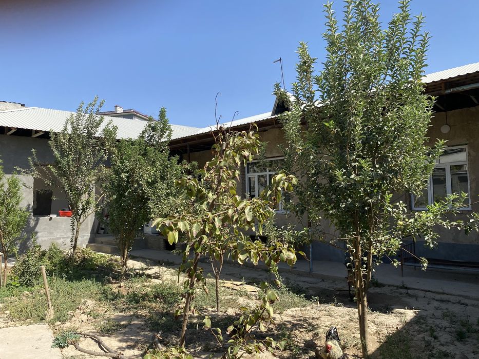 Yangi Xayot Serglida Uchastka Arendaga Beriladi Metro 1 bekatdan 300m