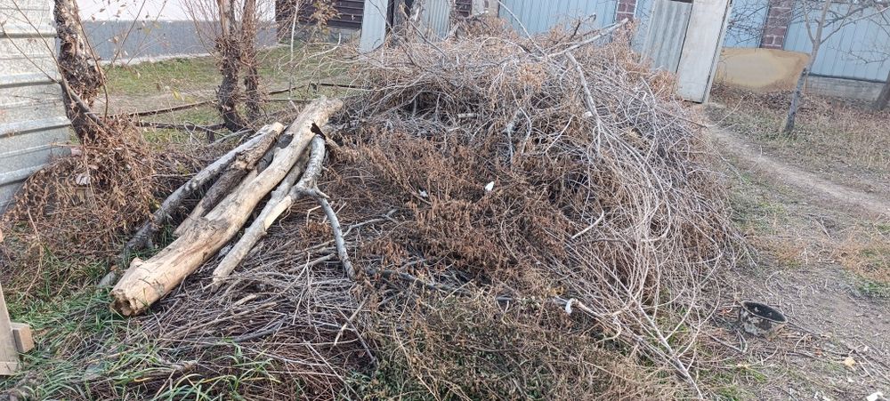 Құрғақ отын ағаш