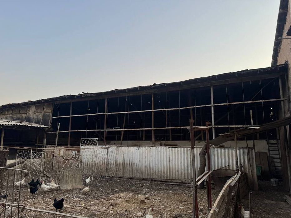 Gaz koʻchada pabedada yer sotiladi 8sot