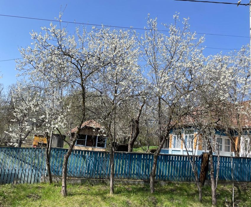 Vând casă în localitatea Urmenis