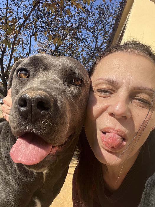 Seat Ibiza 4 задна 5-та врата и задна броня с нож