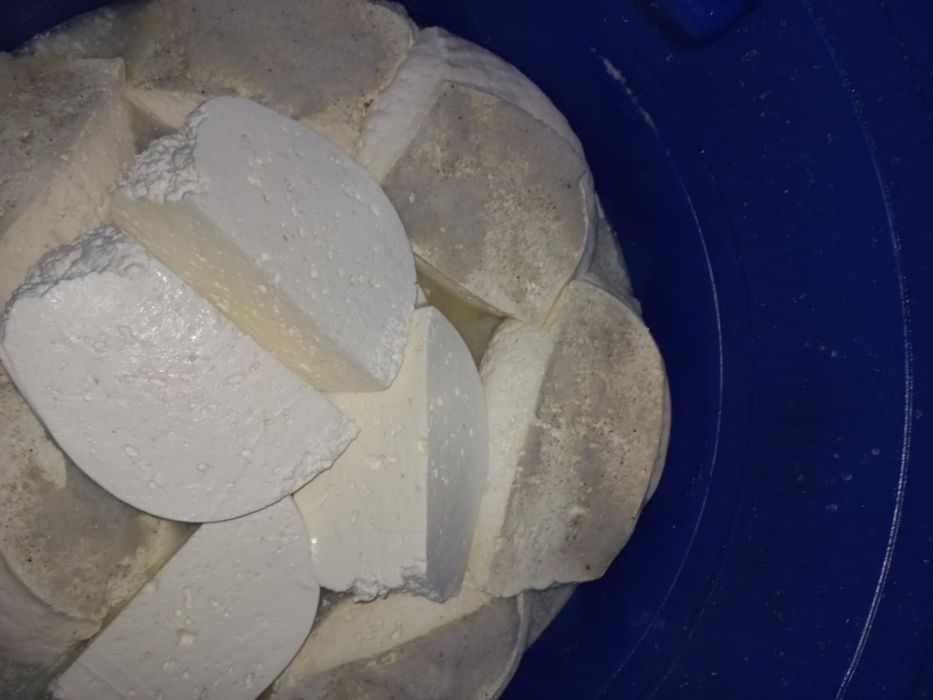 Brânză de capră de vinzare