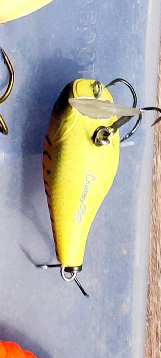 Приманки на хищника