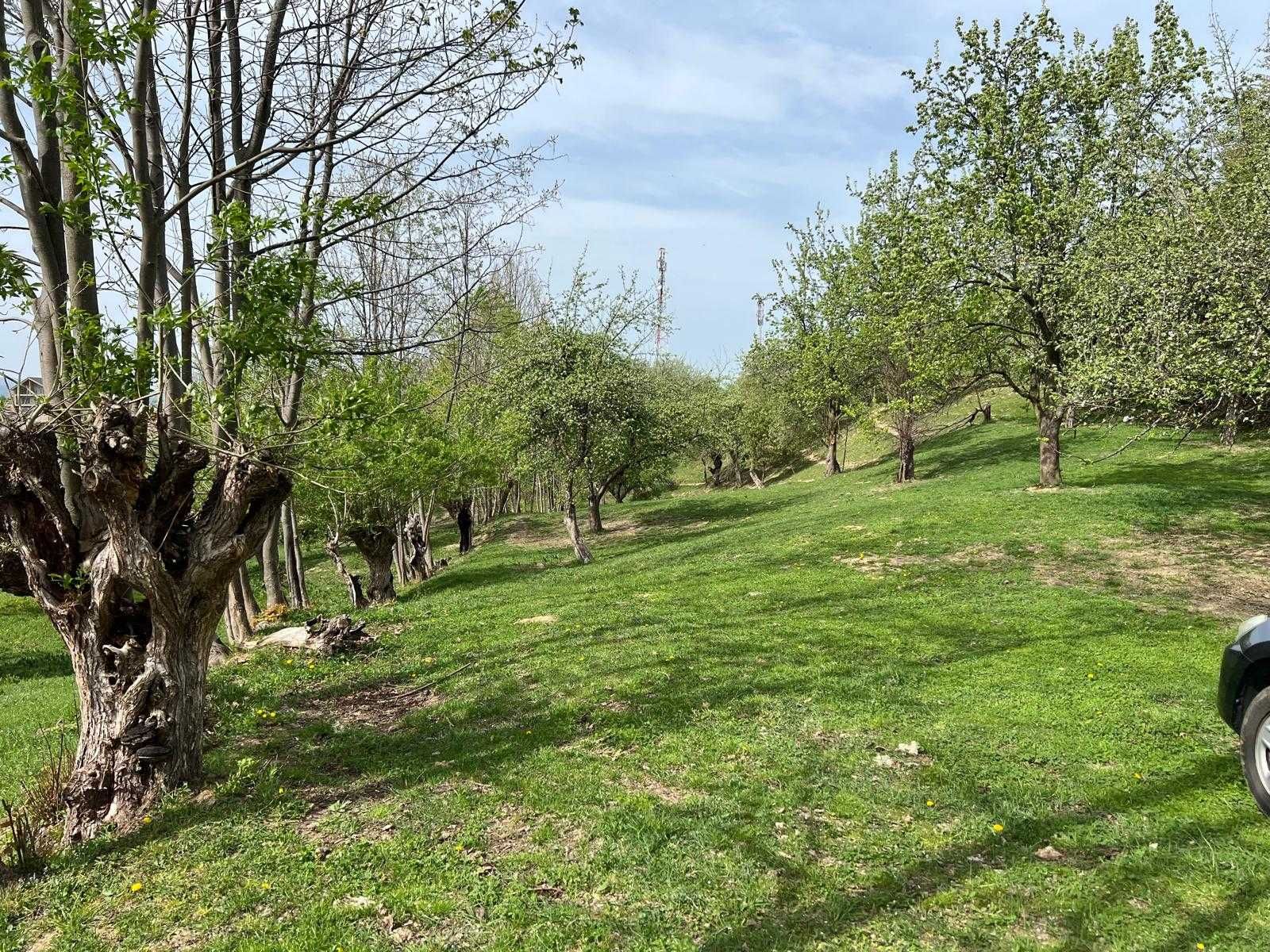 Teren intravilan în Bran , str Colibasilor 800m de castel