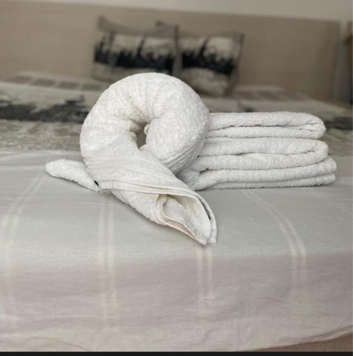 Inchiriez Pensiune Casa Mario Baile Felix pentru revelion