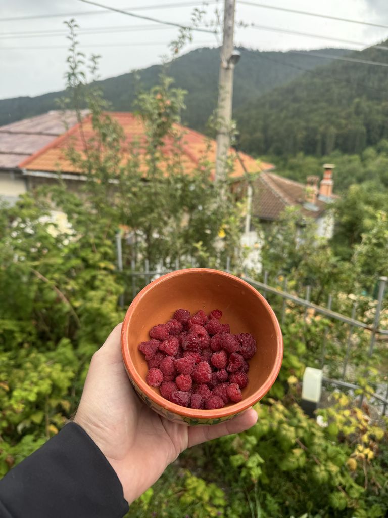 Продава се Къща в с. Орехово, Област Смолян - 130 кв.м за 481 €/кв.м - Снимка #7
