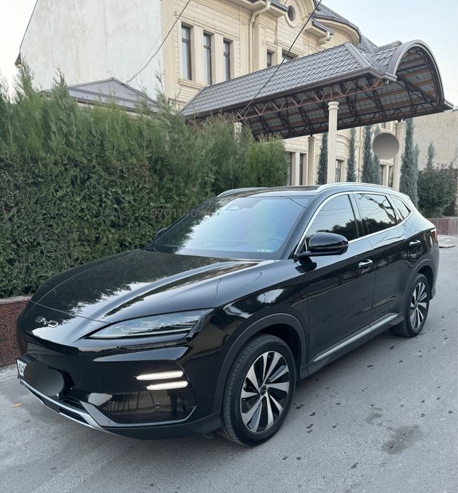 Byd champion 2024 Honor,full chempion,chempion,чемпион,сонг плюс,bivay