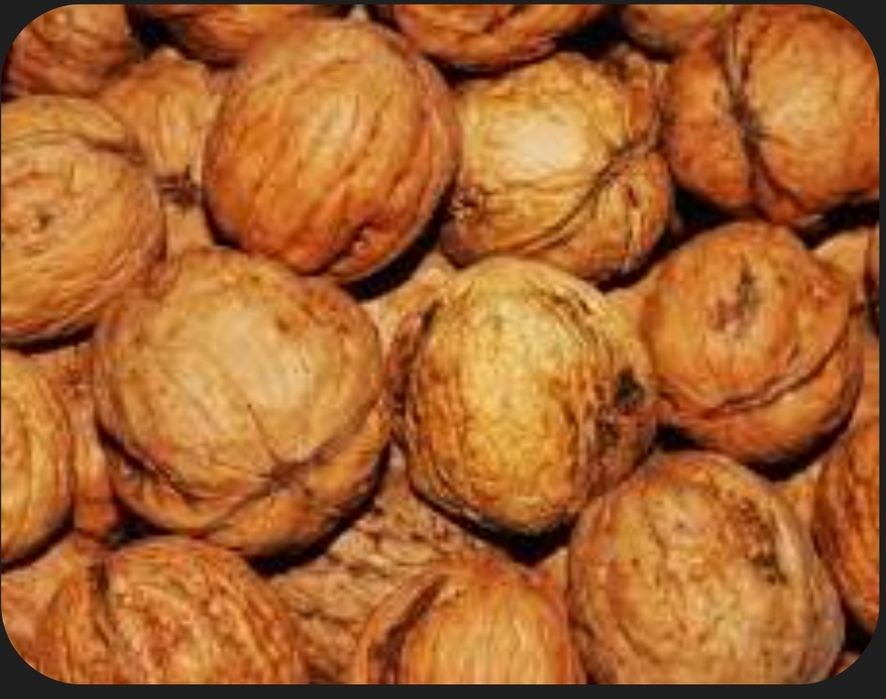 Vând nuci din nucă soiuri diferite