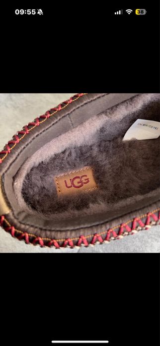 Ugg tazz Dusted Cocoa