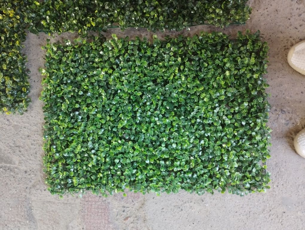 Искусственное озеленение на стену. Самшит