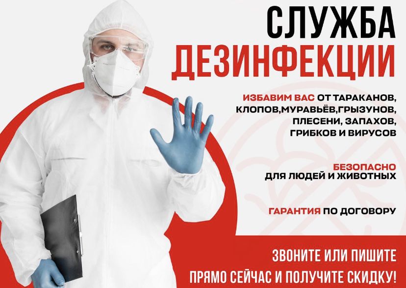 Уничтожение тараканов, клопов, крыс. Дезинфекция Дизифекция