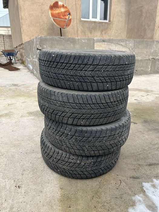 Зимный балон нексен