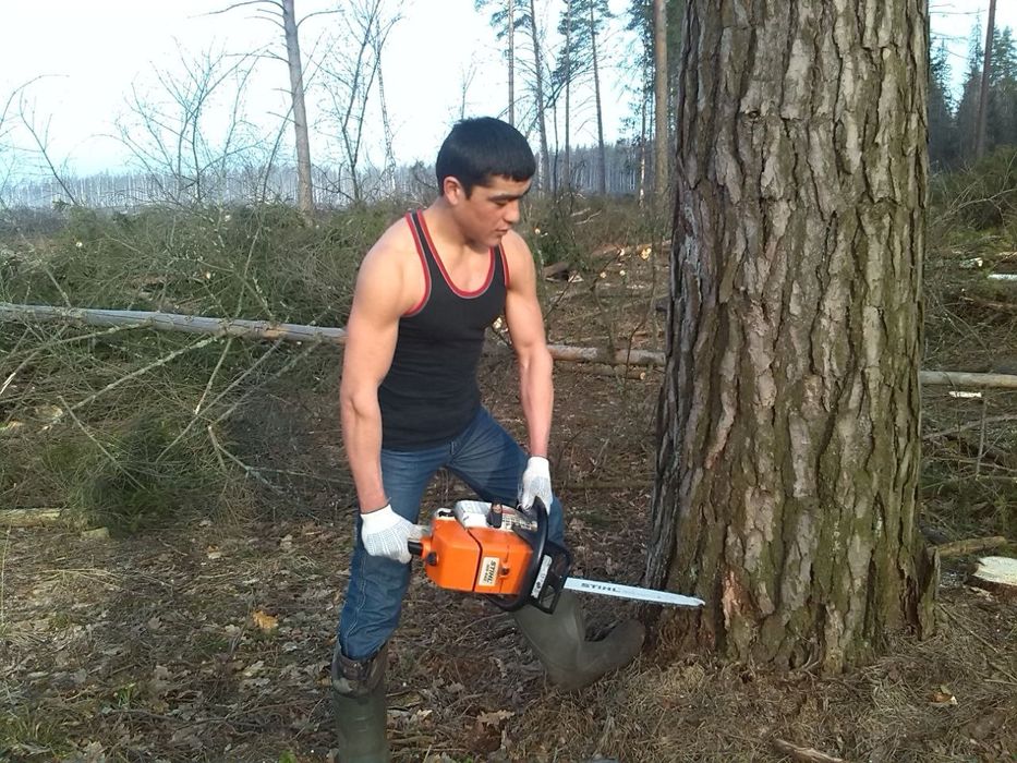 Daraxt kesish va Aralash xizmati