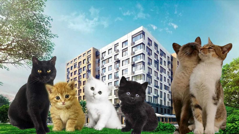 Продам квартиру от Алагузова MaxiЧай