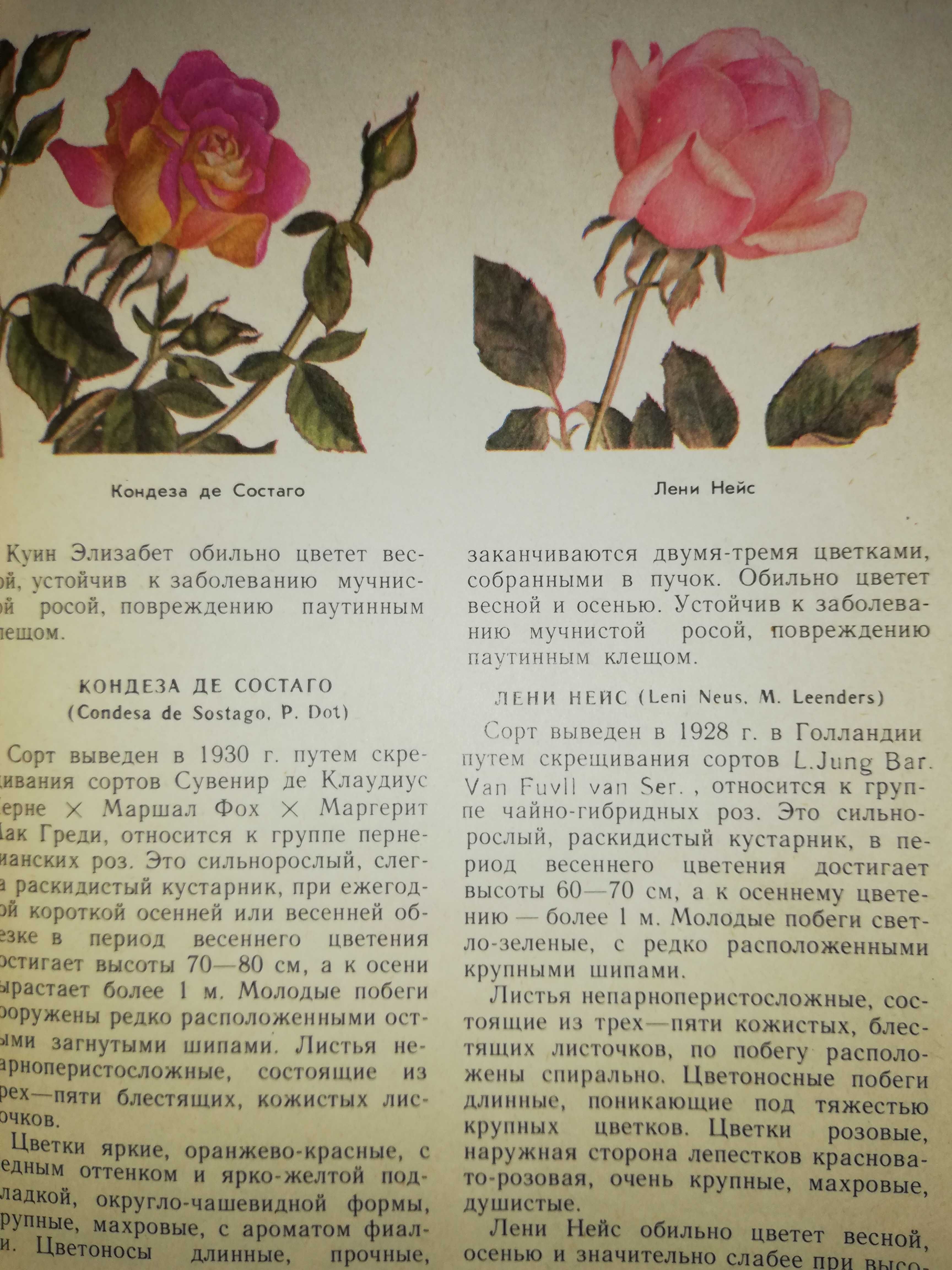 Книга ''Цветы Узбекистана''