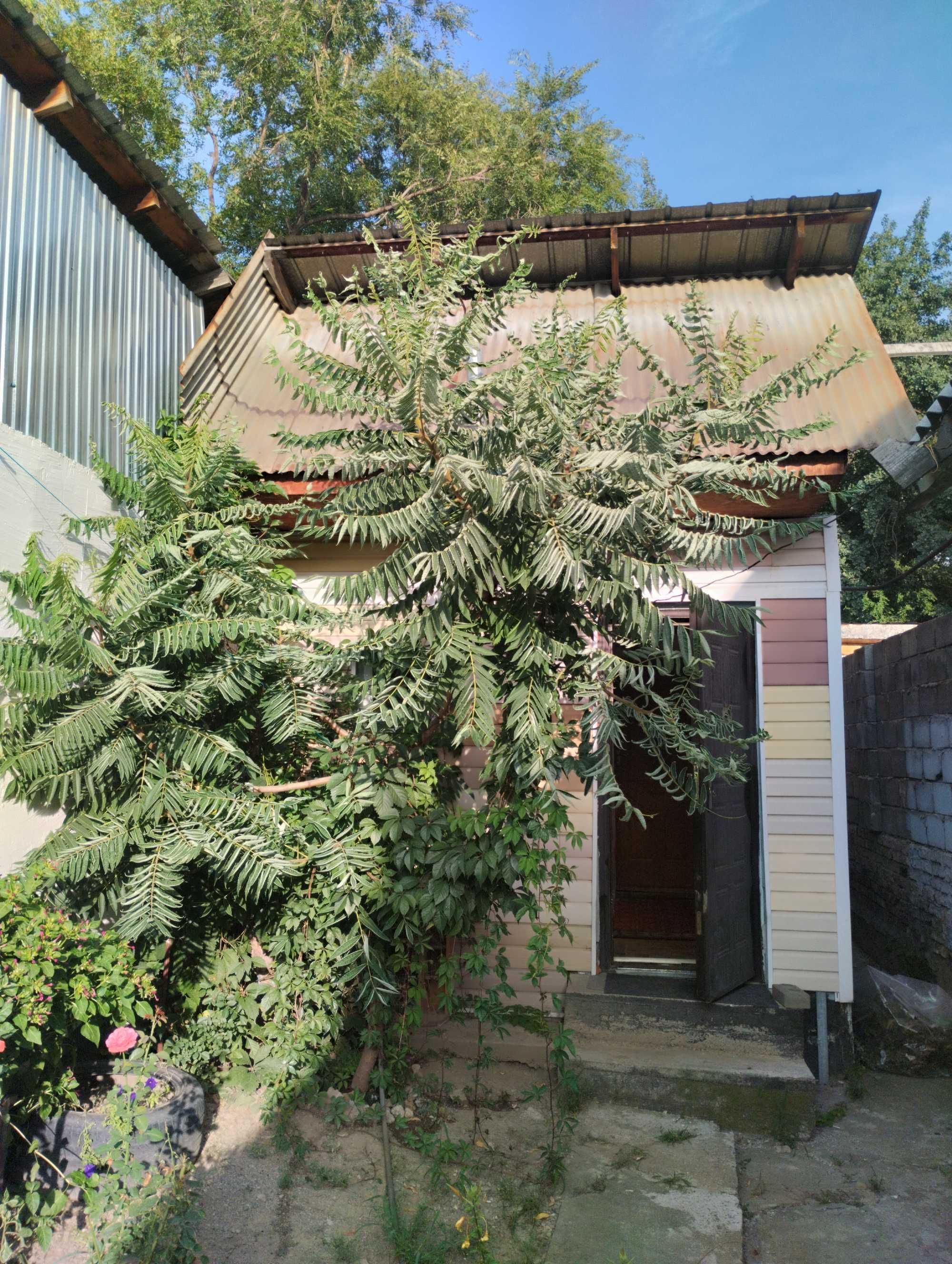 Сдам дом 1 комнатный