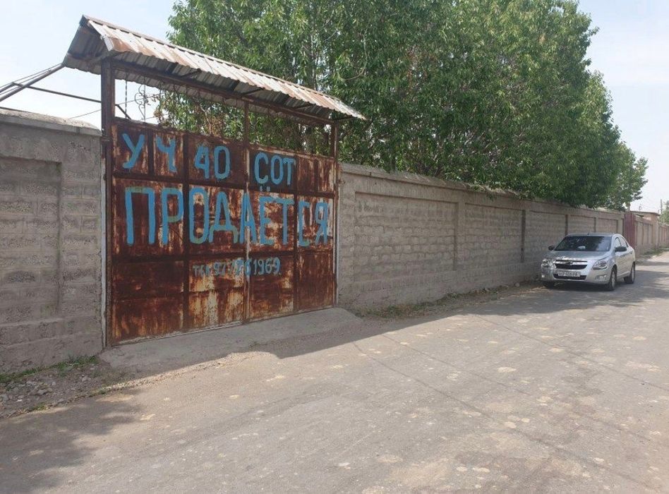 Участок 10 соток.