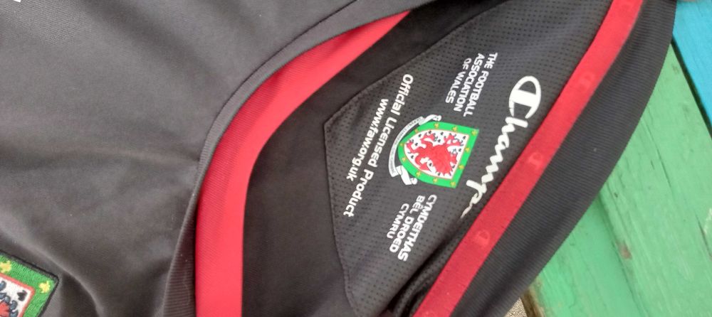 Кофта чемпион 2010 номер 12