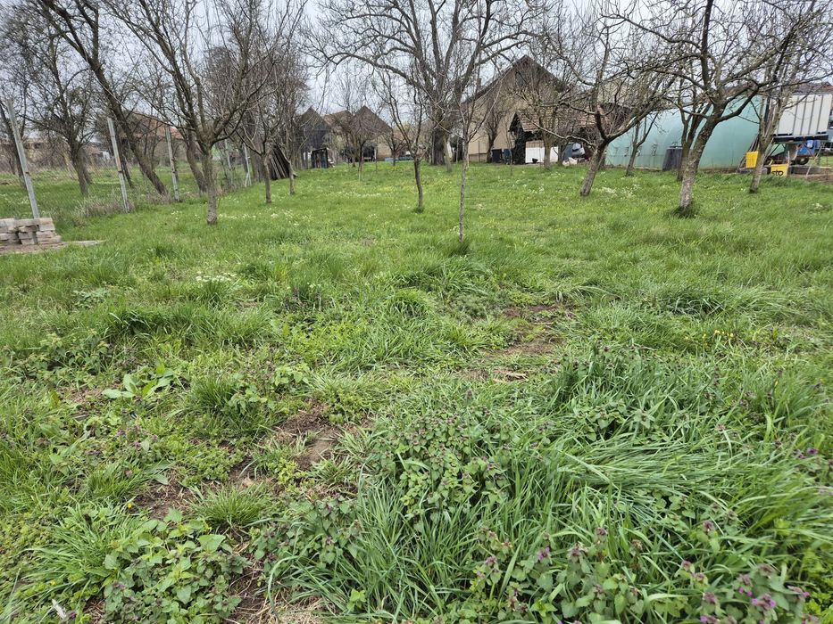 Teren intravilan de vânzare Luna de Sus