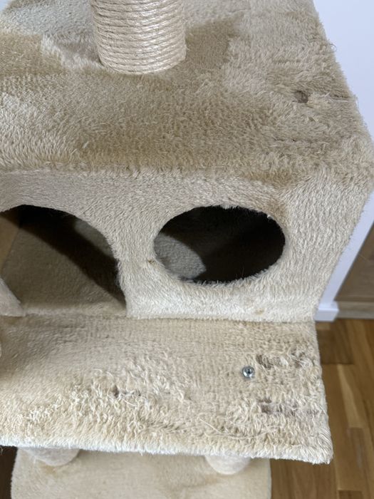 Vand ansamblu pisici dimensiune mare